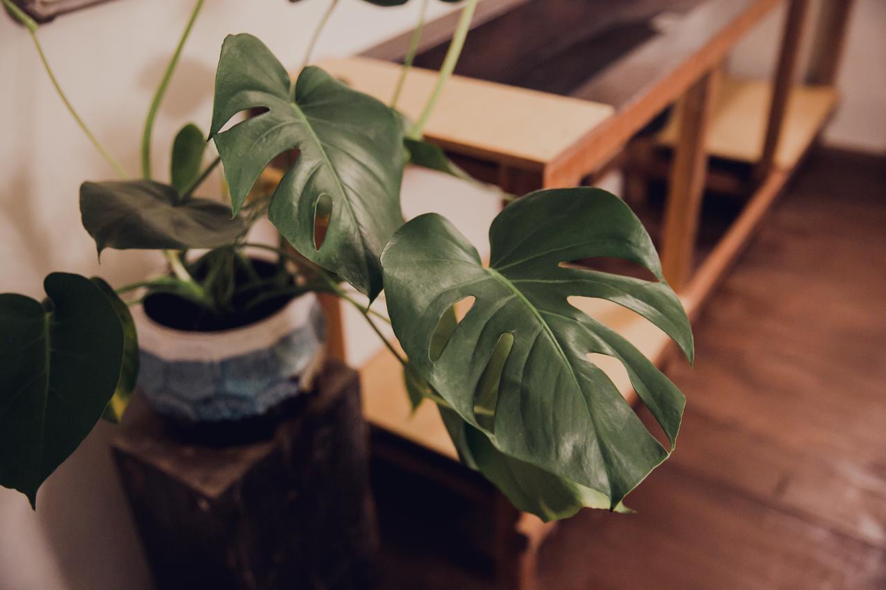 Altrove House 自在他方 Hostel Heng-ch'un Екстериор снимка